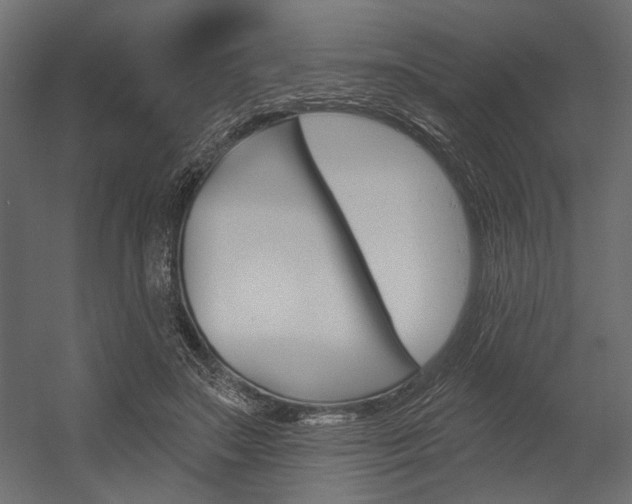 X0000054360499200507290808