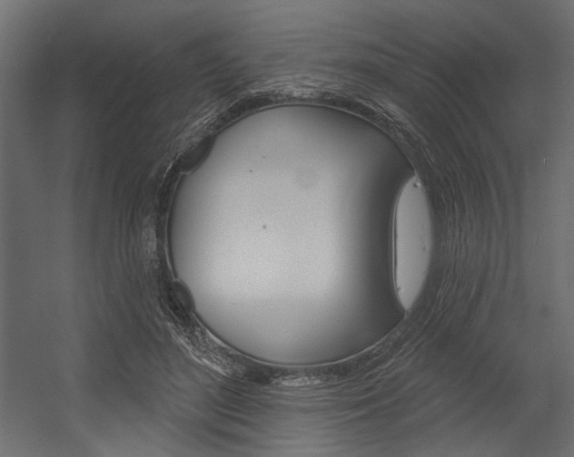 X0000054360500200507290808