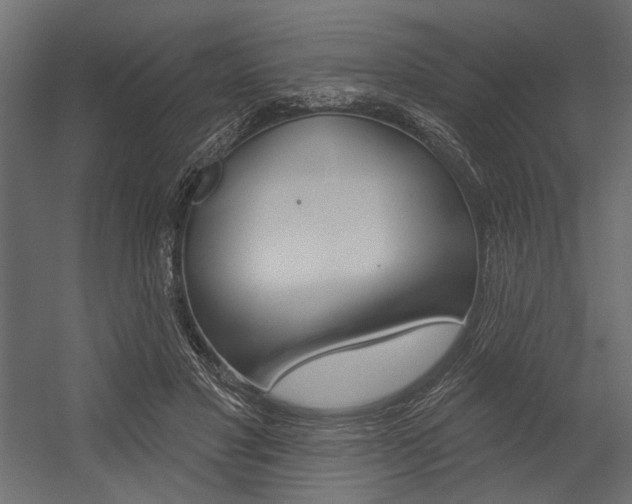 X0000054360501200507290808