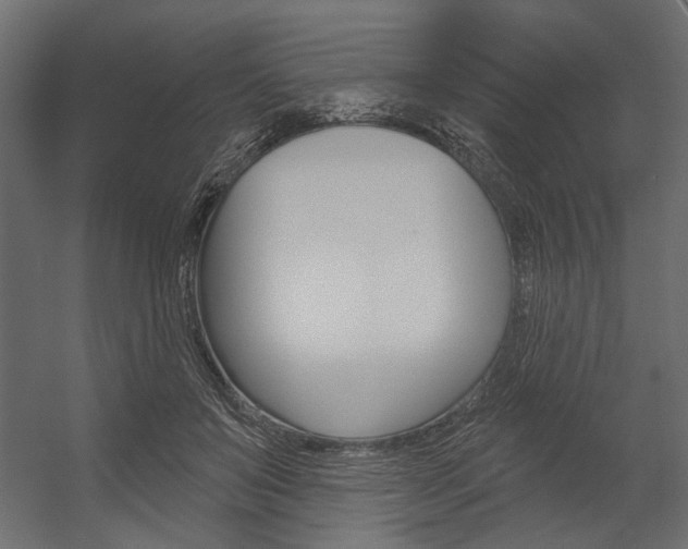 X0000054360503200507290808