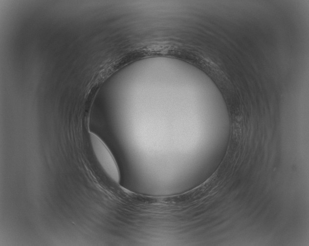 X0000054360504200507290808