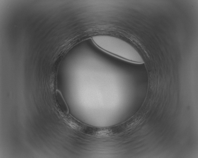 X0000054360505200507290808