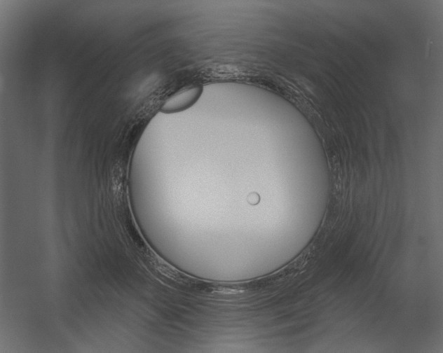 X0000054360507200507290808