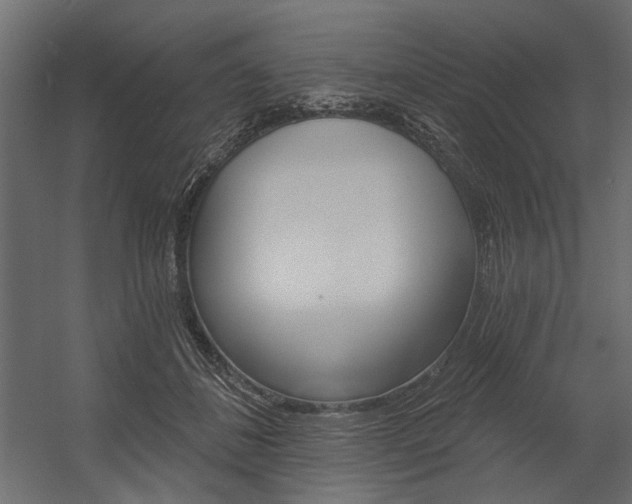 X0000054360508200507290808