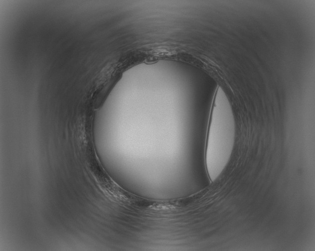 X0000054360512200507290808