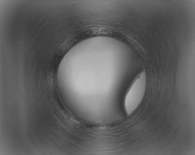 X0000054360513200507290808