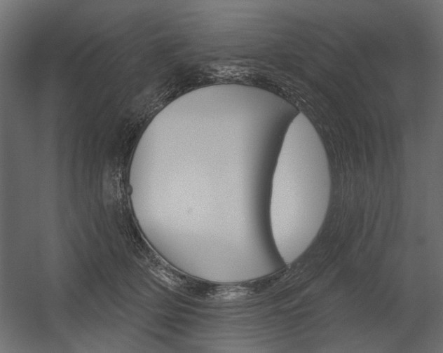 X0000054360514200507290808