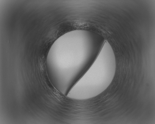 X0000054360515200507290808