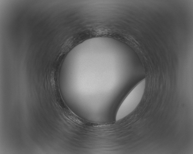 X0000054360516200507290808