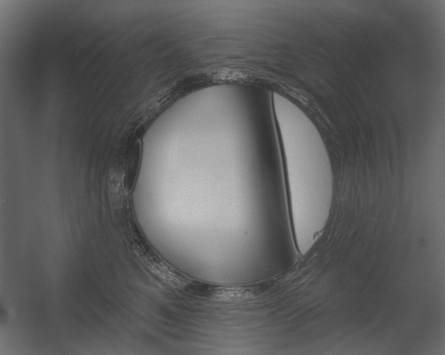 X0000054360521200507290808