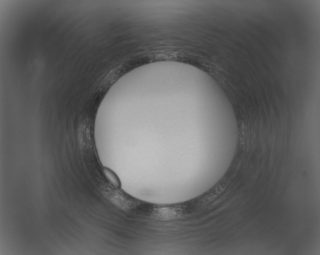 X0000054360522200507290808