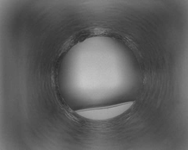 X0000054360524200507290808
