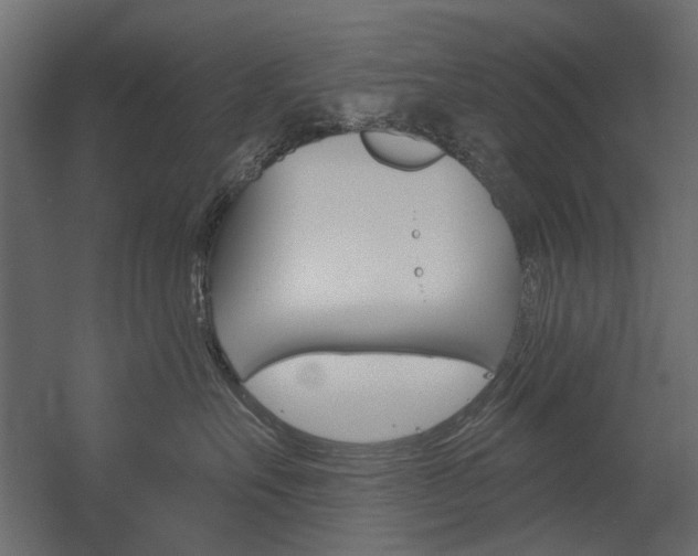 X0000054360527200507290808