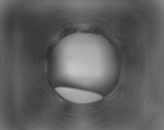 X0000054360528200507290808
