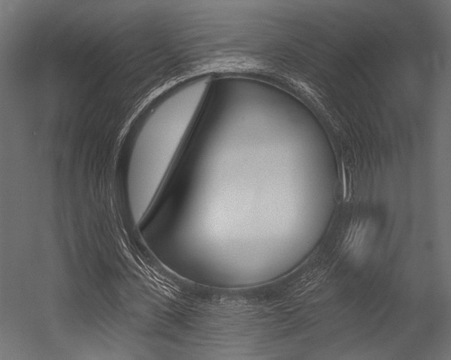 X0000054360531200507290807