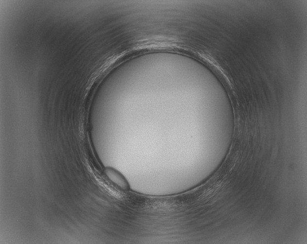 X0000054360533200507290807