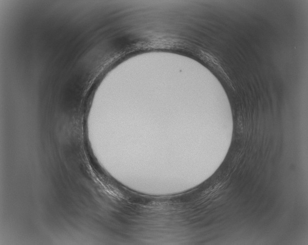 X0000054360534200507290807