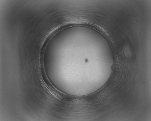 X0000054360535200507290807