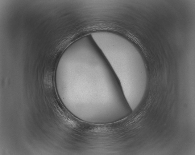 X0000054360537200507290807