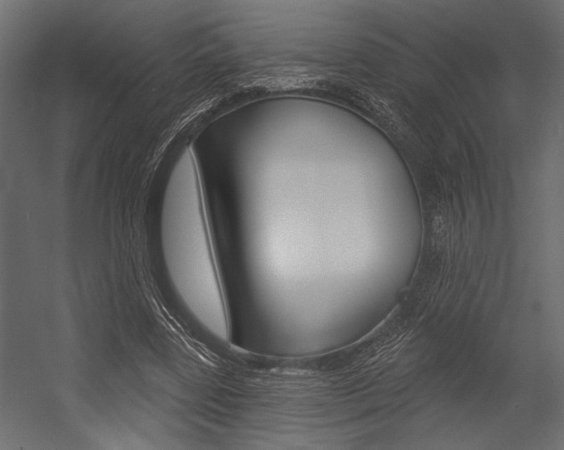 X0000054360539200507290807