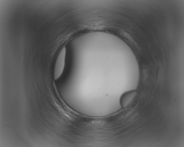X0000054360541200507290807
