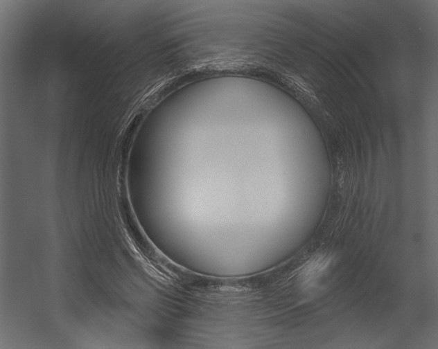 X0000054360542200507290807