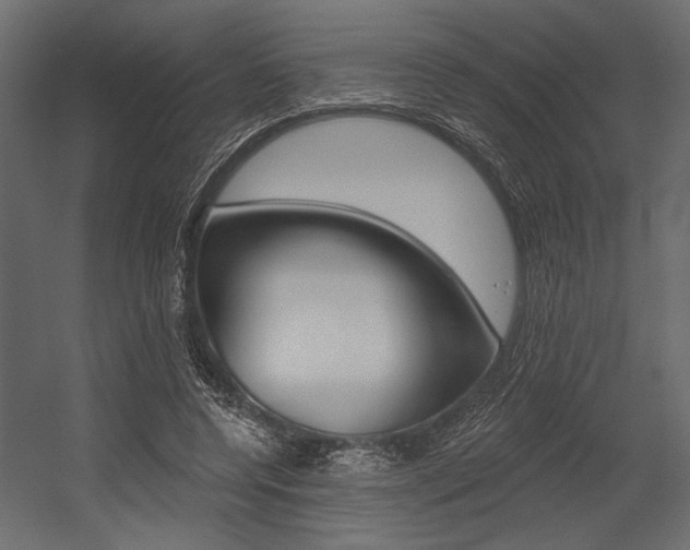 X0000054360544200507290807