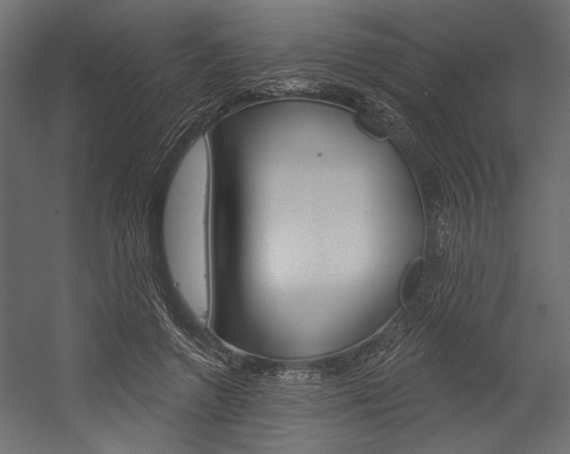 X0000054360546200507290807
