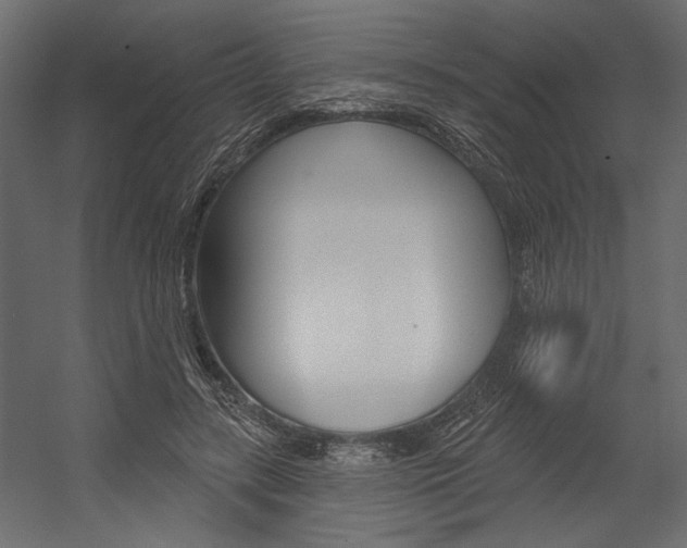 X0000054360547200507290807