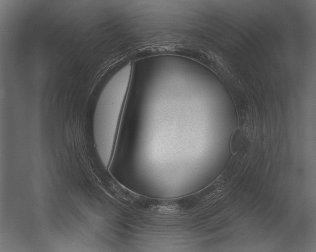 X0000054360548200507290807