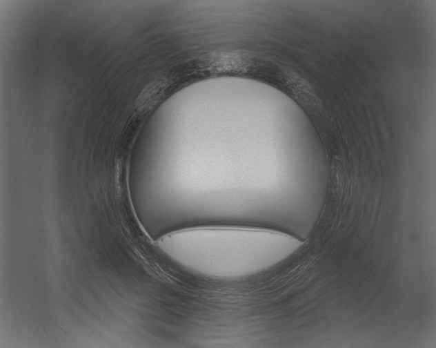 X0000054360550200507290807
