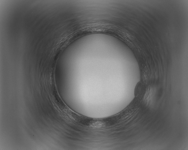 X0000054360551200507290807