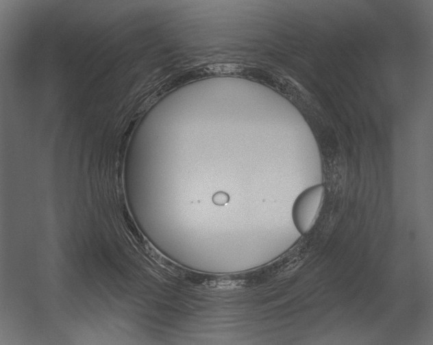X0000054360553200507290807