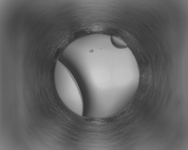X0000054360555200507290808