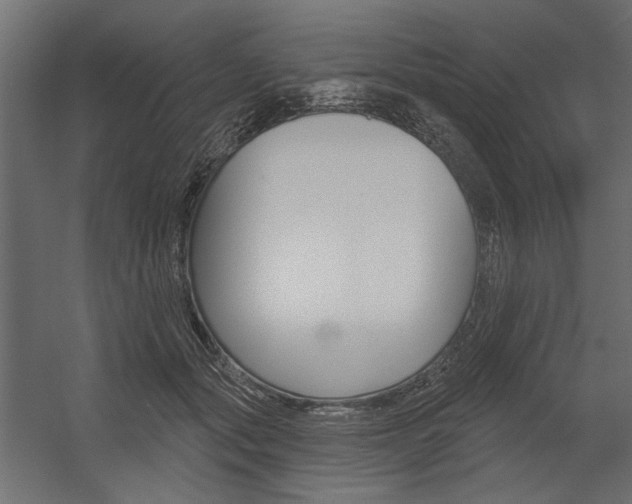 X0000054360557200507290808