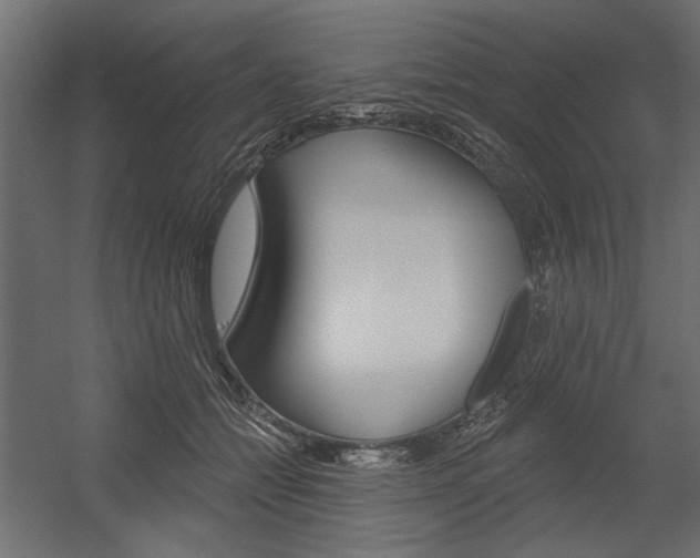 X0000054360558200507290808