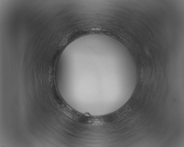 X0000054360559200507290808
