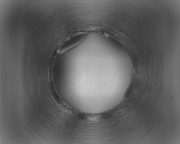 X0000054360560200507290808