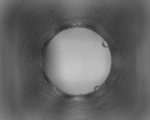 X0000054360561200507290808