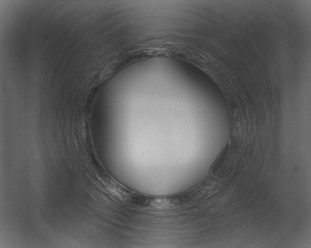 X0000054360562200507290808
