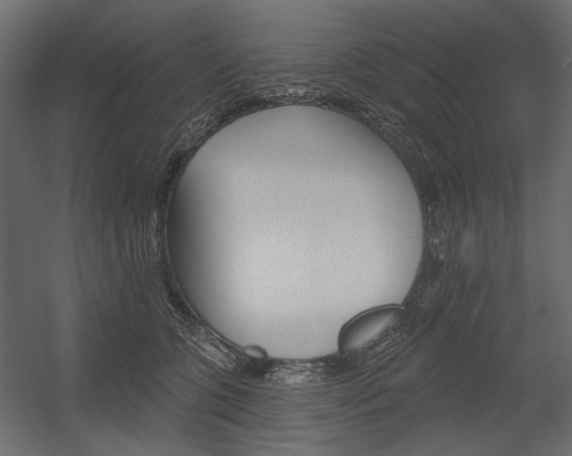 X0000054360563200507290808