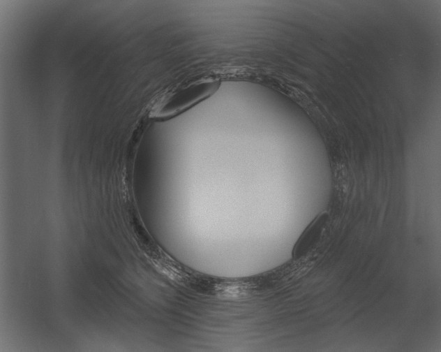 X0000054360564200507290808
