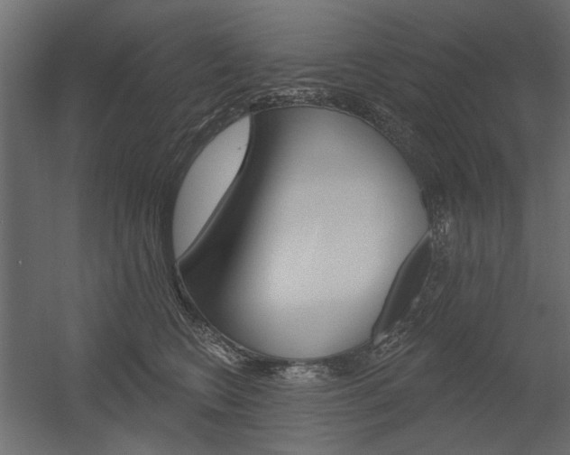 X0000054360566200507290808
