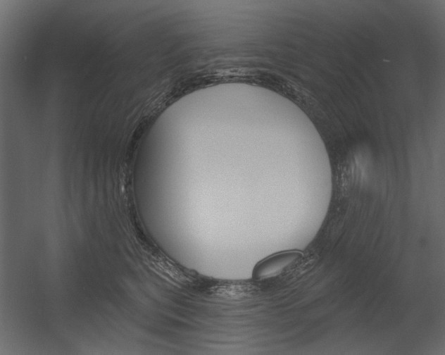 X0000054360567200507290808