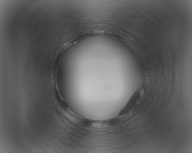 X0000054360568200507290808