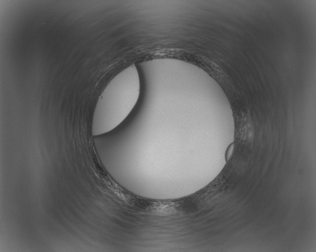 X0000054360569200507290808