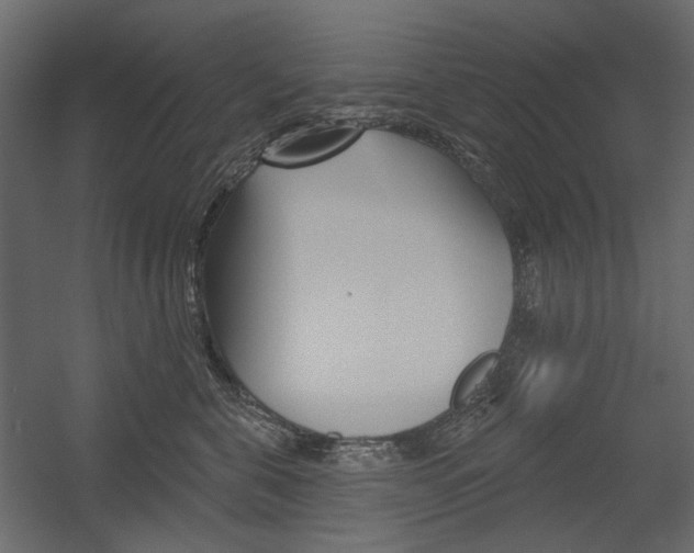 X0000054360571200507290808