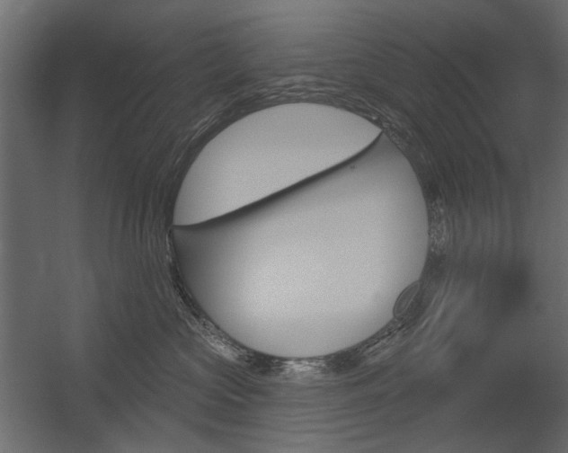 X0000054360573200507290808