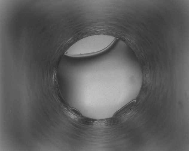 X0000054360574200507290808
