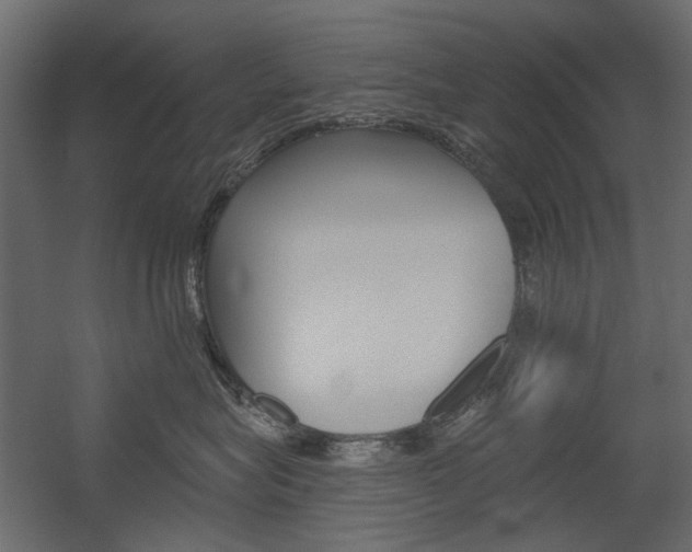 X0000054360575200507290808